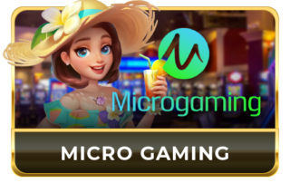 bigbat casino malaysia slot games bigbat58 game micro gaming