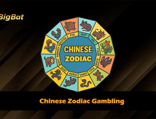 Chinese Zodiac Gambling | Bigbat Win Tips for Your Sign